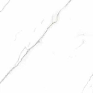CASINI CARRARA