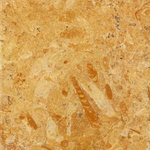 Flowery Gold Sandstones